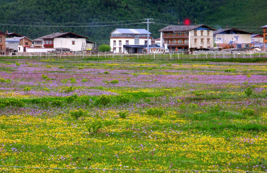 Shangri-La Lao Shay Youth Hostel Exteriér fotografie