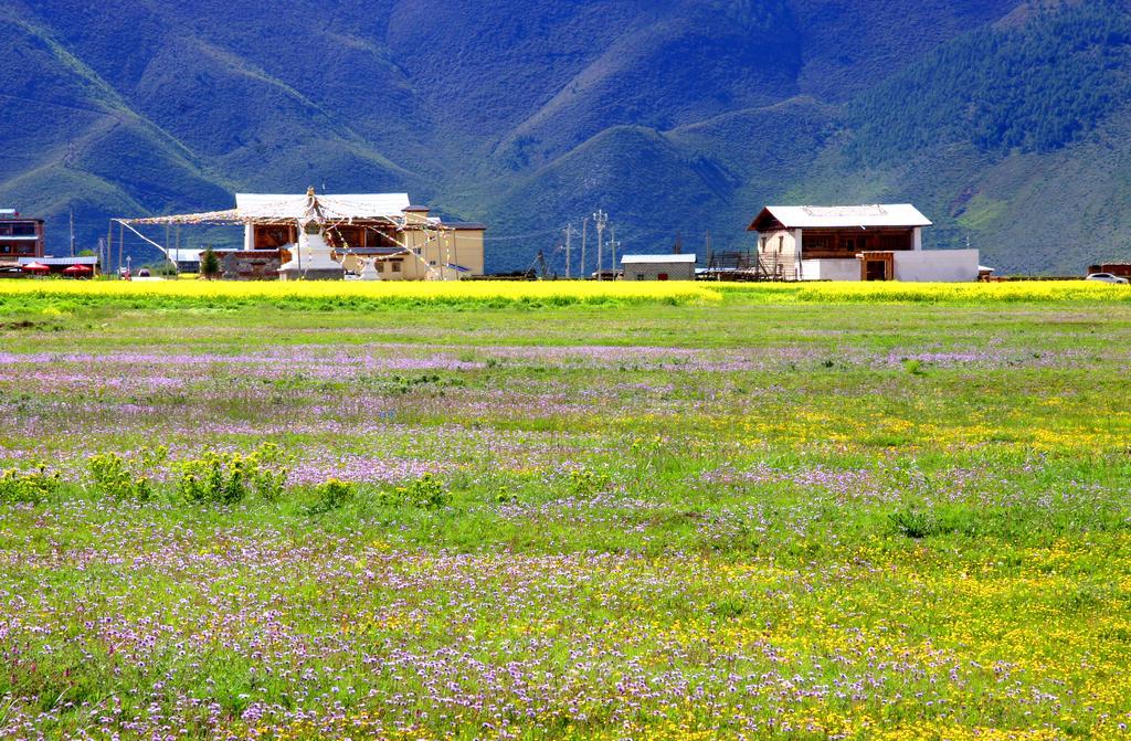 Shangri-La Lao Shay Youth Hostel Exteriér fotografie